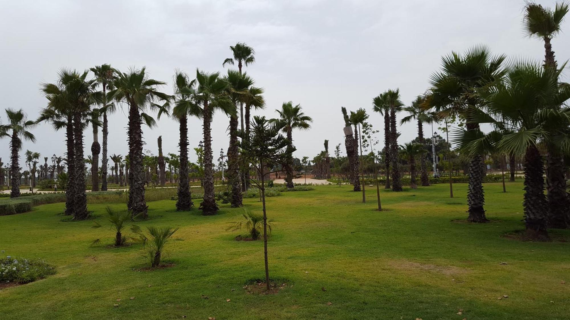 Appartement Agreable Avec 2 Tres Belles Terrasses Au Coeur De Rabat Eksteriør billede