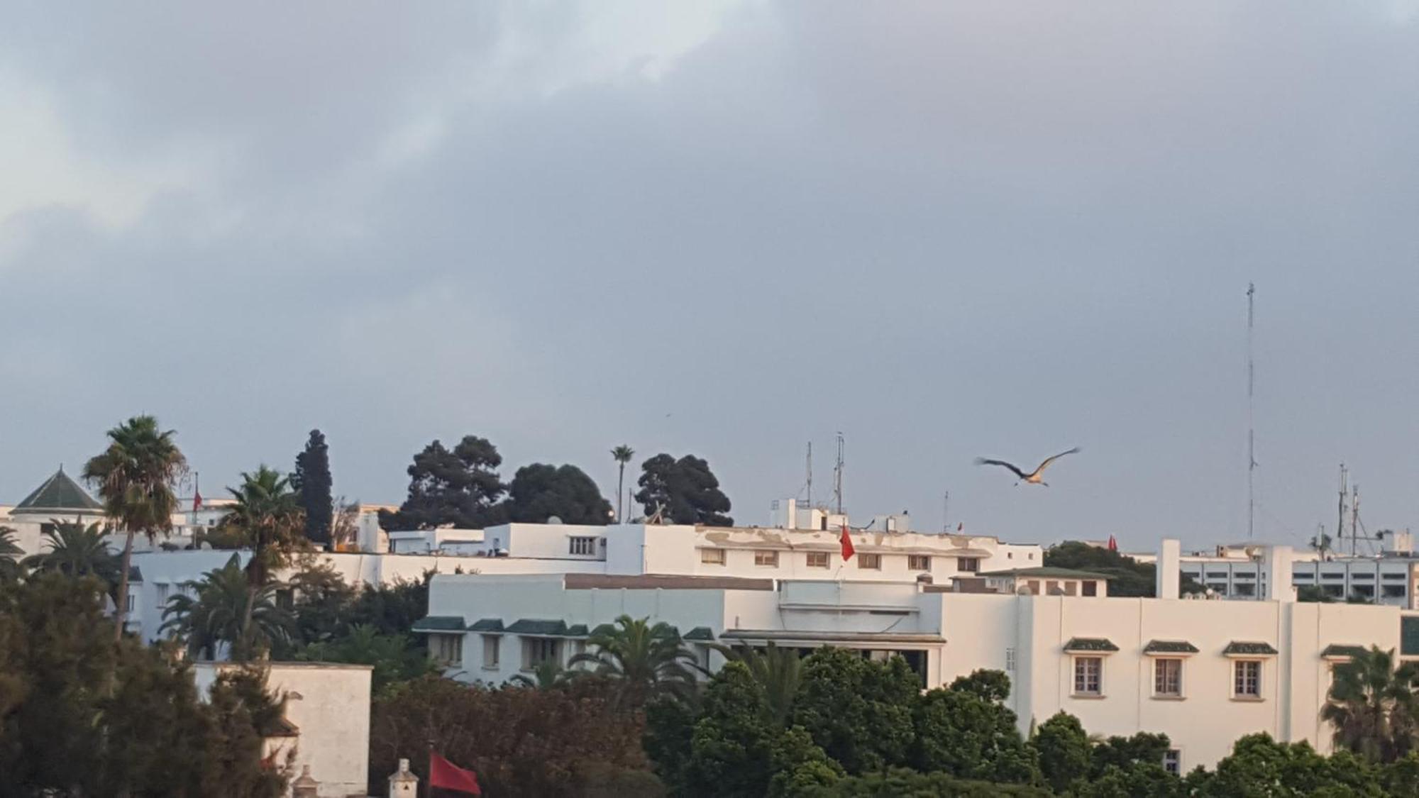 Appartement Agreable Avec 2 Tres Belles Terrasses Au Coeur De Rabat Eksteriør billede